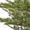 7ft. Unlit Vancouver Mountain Pine Artificial Christmas Tree